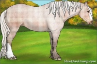 Horse Color:Plaid Silver Bay Roan