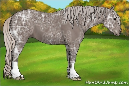 Horse Color:Silver Black Ice 