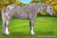 Horse Color:Silver Black Ice 