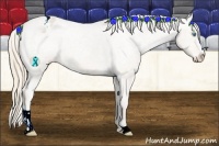 Horse Color:Smoky Creme Ice Roan Sabino Appaloosa Rabicano 