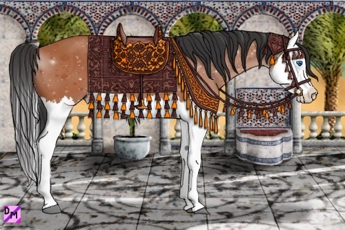 Horse Color:Bay Splash 