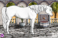 Horse Color:Gray White Spotted Smoky Creme Ice Frame