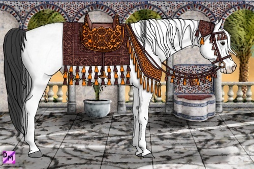 Horse Color:White Spotted Smoky Black Ice 