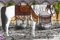 Horse Color:White Spotted Smoky Black Ice