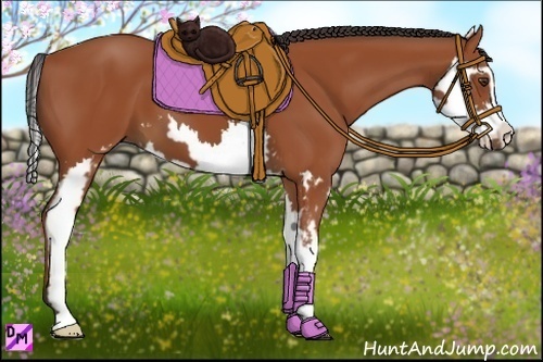 Horse Color:Bay Splash Frame 