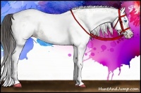 Horse Color:White Spotted Amber Champagne Splash 