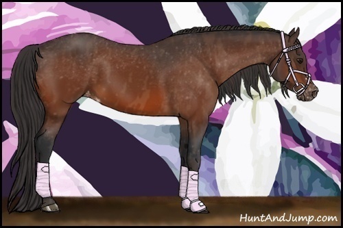 Horse Color:Bay Varnish  Brindle