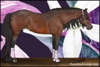Horse Color:Bay Varnish Brindle