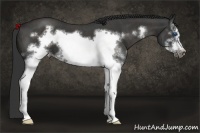 Horse Color:White Spotted Liver Red Roan Frame 