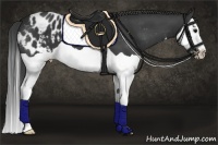 Horse Color:Black Splash Appaloosa 