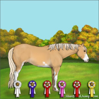Horse Color:Palomino Dun Sabino 