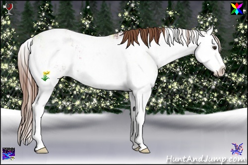 Horse Color:Chestnut Ice Sabino Splash