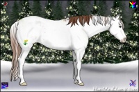 Horse Color:Chestnut Ice Sabino Splash