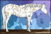 Horse Color:Silver Smoky Black Splash Appaloosa Rabicano 