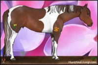 Horse Color:Liver Chestnut Tobiano 