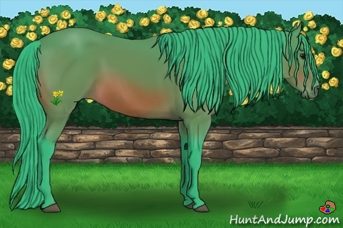 Horse Color:Watercolor Bay Rabicano