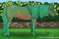 Horse Color:Watercolor Bay Rabicano 