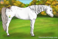 Horse Color:White Spotted Silver Brown