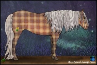 Horse Color:Plaid  Silver Bay 