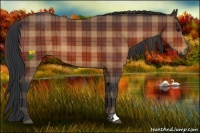 Horse Color:Plaid Bay