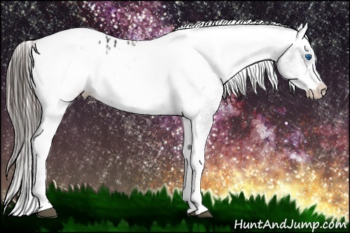 Horse Color:White Spotted Black Splash Tobiano Frame Blanket