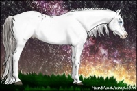 Horse Color:White Spotted Black Splash Tobiano Frame Appaloosa