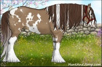 Horse Color:White Spotted Liver Red Dun Splash