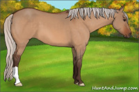 Horse Color:Silver Bay Dun 