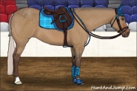 Horse Color:Silver Bay Dun