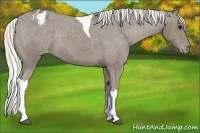 Horse Color:Silver Smoky Black Tobiano Varnish 