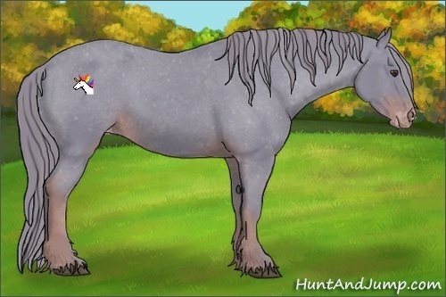 Horse Color:Watercolor Liver Chestnut Sabino Varnish Rabicano