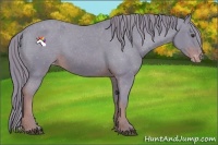 Horse Color:Watercolor Liver Chestnut Sabino Varnish Rabicano
