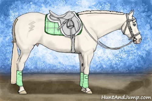 Horse Color:Perlino Dun 