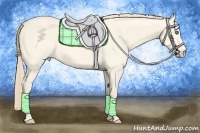 Horse Color:Perlino Dun