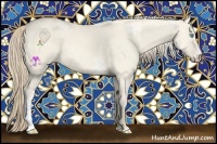 Horse Color:White Spotted Perlino Dun 