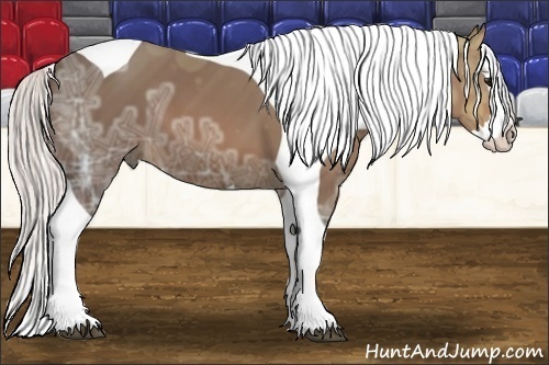 Horse Color:Silver Bay Ice Splash Tobiano