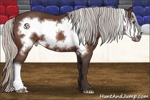 Horse Color:Silver Bay Frame 