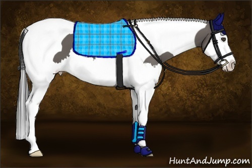 Horse Color:Grullo Splash Tobiano 