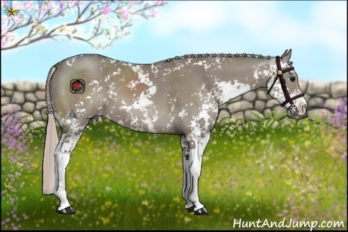 Horse Color:Silver Grullo Sabino 