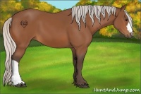 Horse Color:Silver Bay 