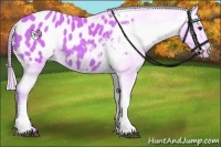 Horse Color:Watercolor Chestnut Appaloosa 