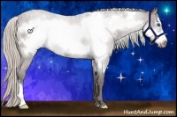 Horse Color:Silver Brown Roan Frame 