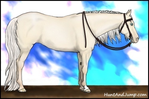 Horse Color:Silver Buckskin Pearl Dun Sabino
