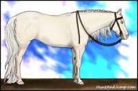 Horse Color:Silver Buckskin Pearl Dun Sabino 