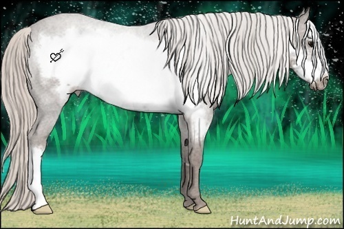 Horse Color:Silver Blue Roan Frame 