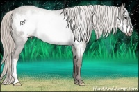 Horse Color:Silver Blue Roan Frame
