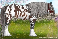 Horse Color:Bay Near Leopard