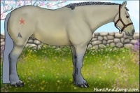 Horse Color:Watercolor Bay Dun 