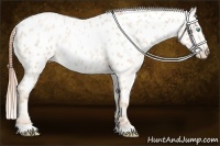 Horse Color:Buckskin Roan Pearl Blanket 