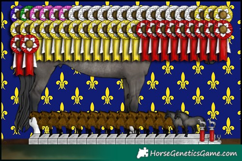 Horse Color:Grullo Rabicano 